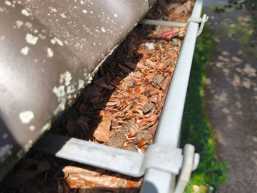 Corniche remplie de feuilles mortes avant le vidage, Ans