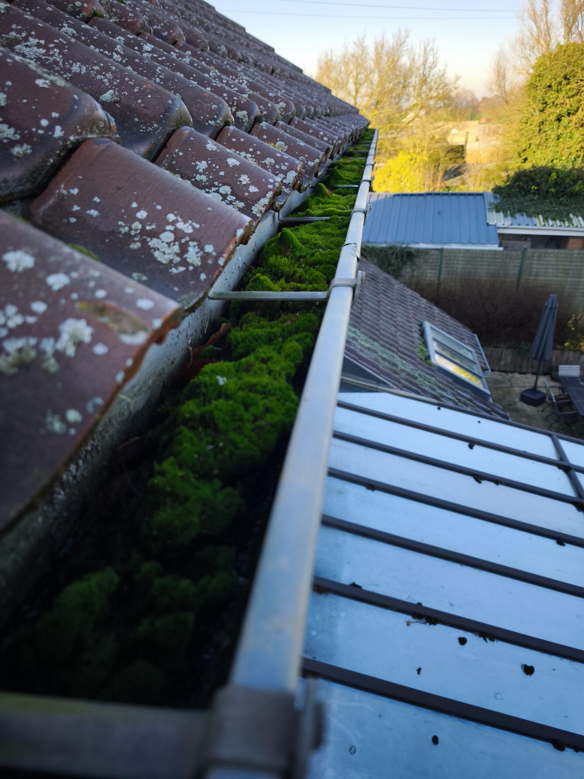 Nettoyage de corniches et gouttières – descente de toit dégagée à Liège