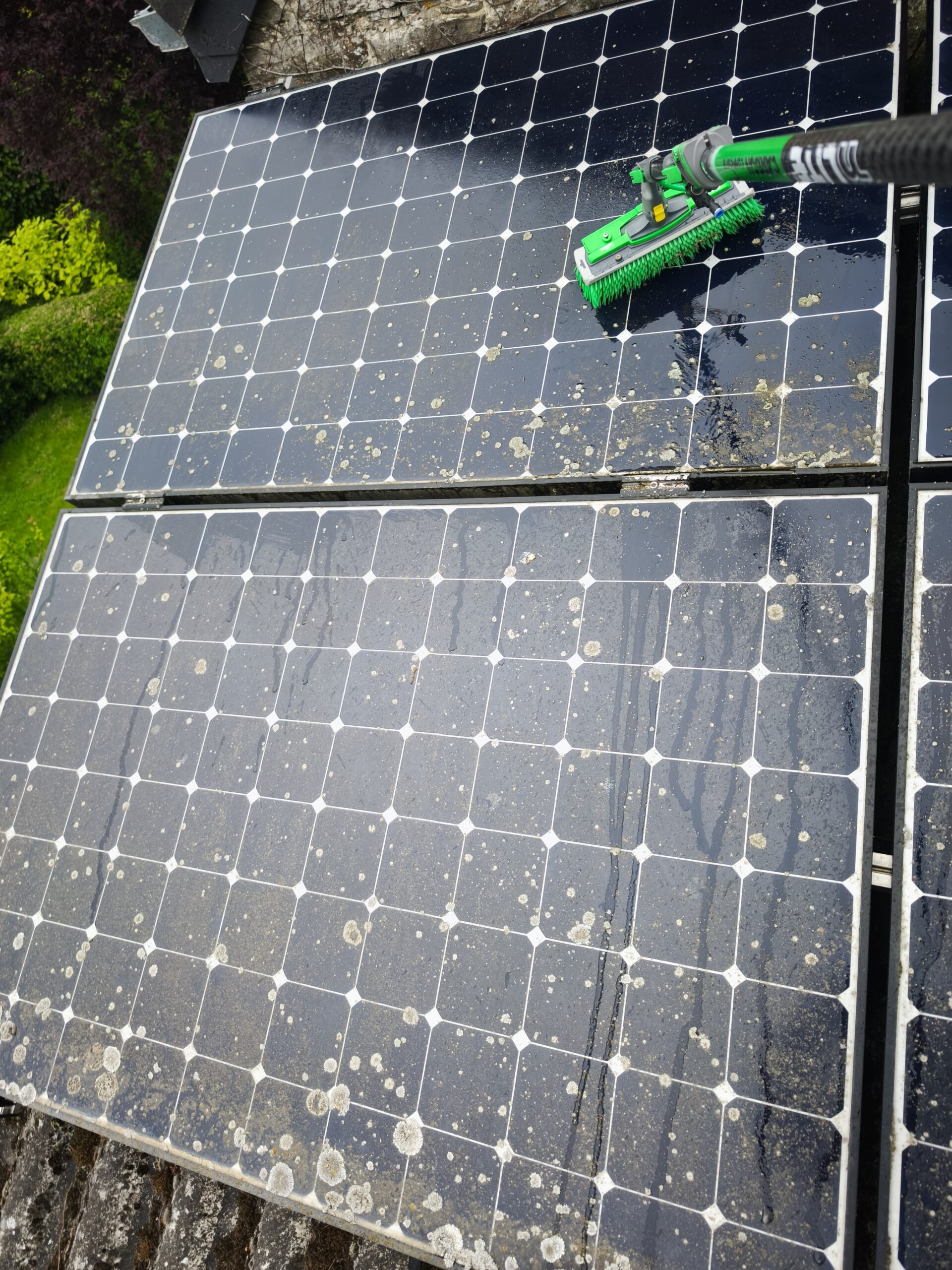Panneaux solaires encrassés avec lichen avant nettoyage à Liège