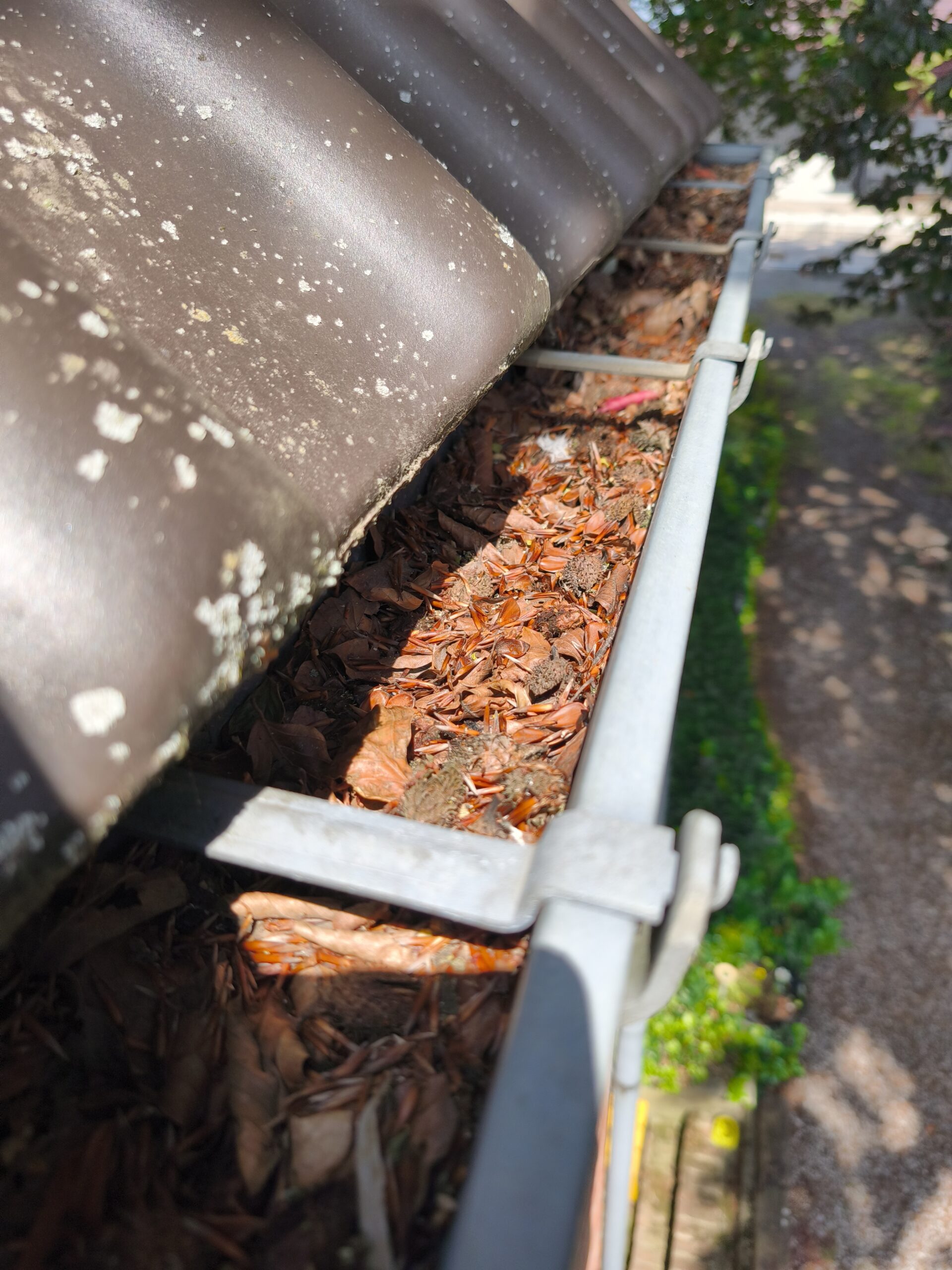 Corniche remplie de feuille sur Ans province de Liège